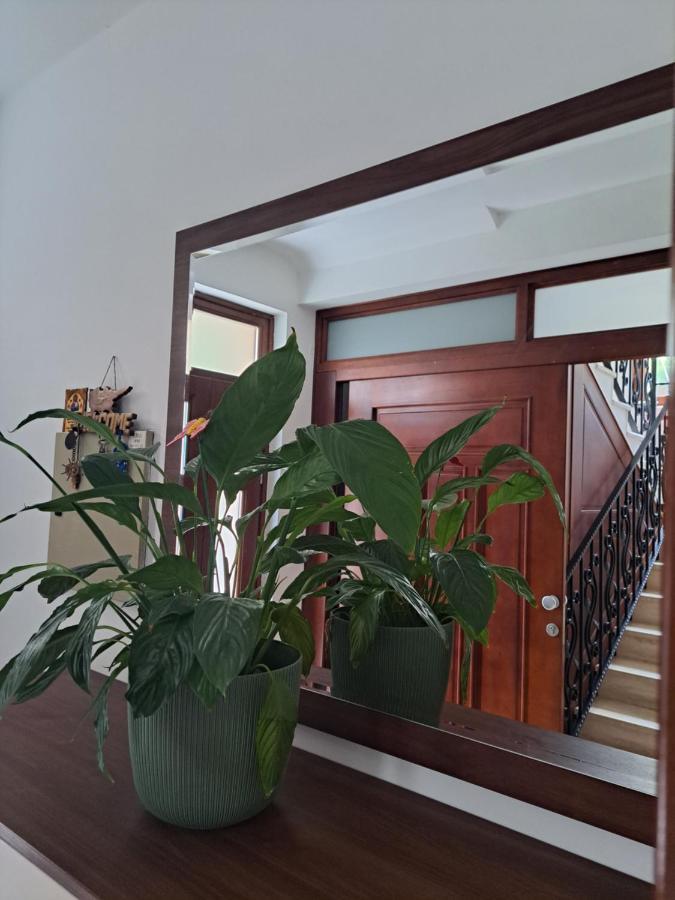 Apartment Benvenuti كوتور المظهر الخارجي الصورة
