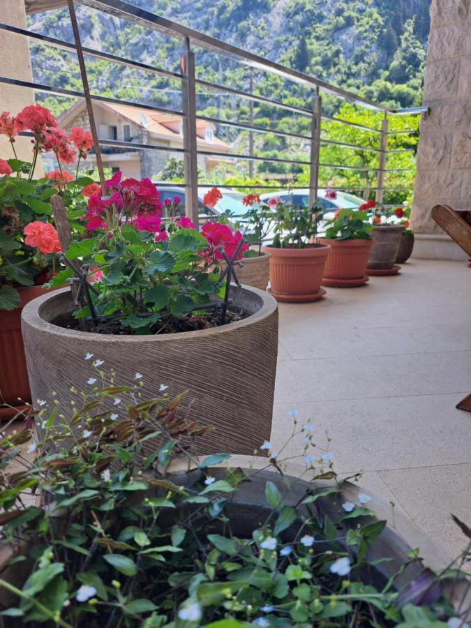 Apartment Benvenuti كوتور المظهر الخارجي الصورة